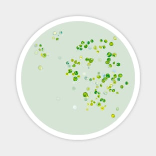 Chlorella vulgaris Magnet